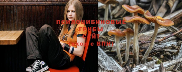 марихуана Лабытнанги